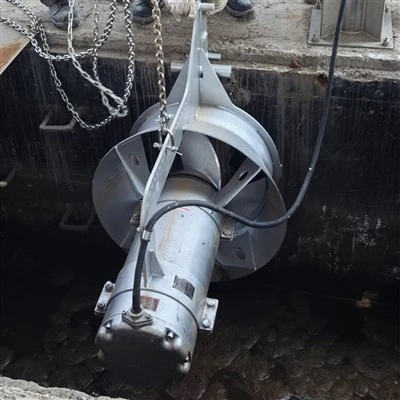 Bomba submersível de recirculação de nitrato WM-W